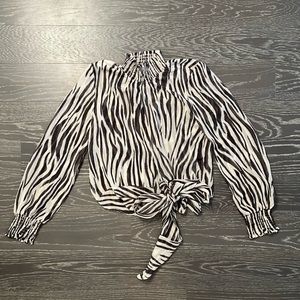 Olivaceous Zebra Long Sleeve Sheer Blouse